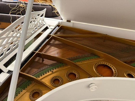 C Bechstein Berlin Piano – C. Bechstein, Decorative Objects, Cast Iron, Metal (photo 12 of 14)
