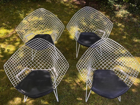 Image 1 of Bertoia Diamond fauteuil, Knoll-editie, ontwerp van Harry Bertoia, vintage jaren 70-80