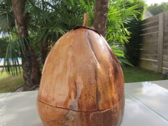 Image 1 of Secchiello per ghiaccio in cocco naturalizzato, 1970