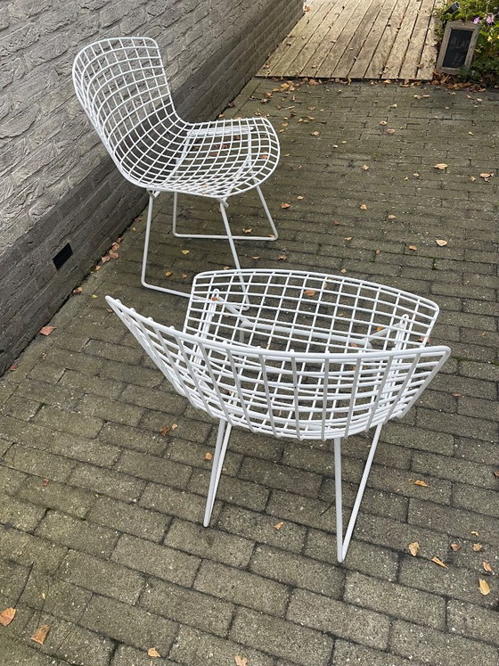 Originele Harry Bertoia Vintage Draadstoel – Vintage Wire Side Chair Van Knoll – 6 Stuks – Tuinstoelen, rvs (photo 5 of 5)