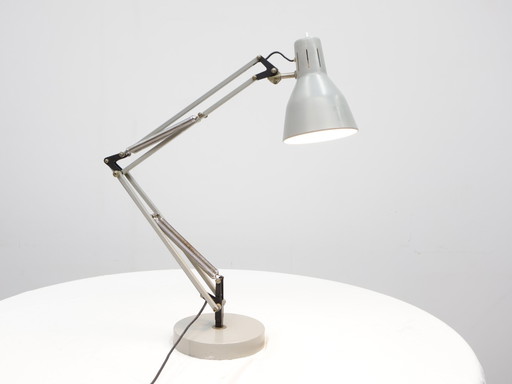 Hala Zeist | Lámpara de escritorio vintage | Gris