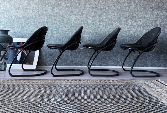 Image 1 of 4x Pascale Dining Chairs by Gastone Rinaldi for Thema, 1970s