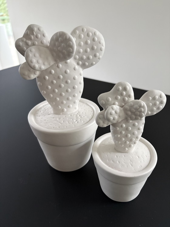 Image 1 of Set of two cacti, rough ceramic