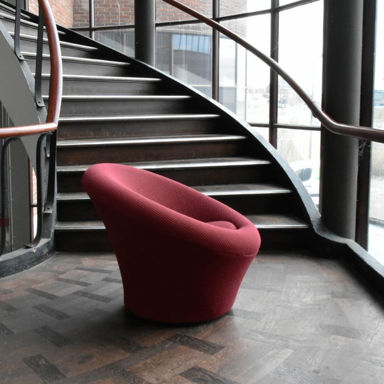 Image 1 of Poltrona Artifort Mushroom