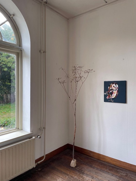 Image 1 of Portrait of an owl