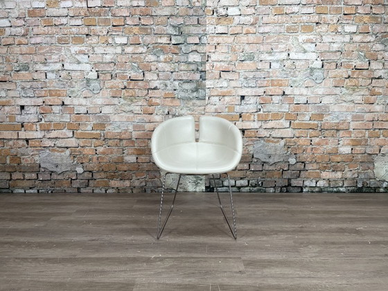 Image 1 of 6x Moroso Fjord