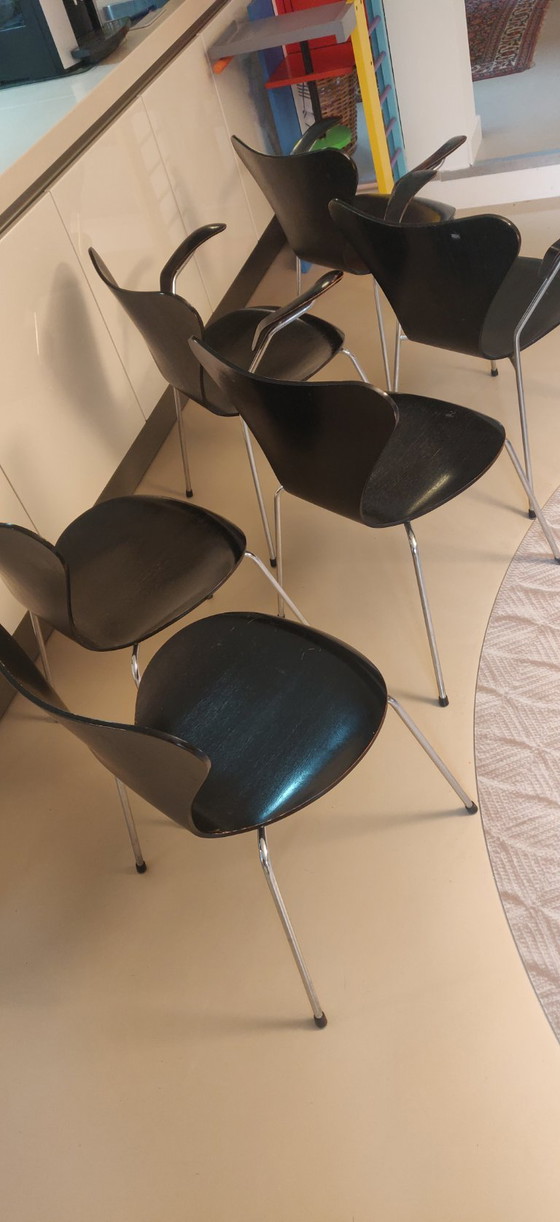 6x Sedie Arne Jaconsen nere, Serie 7 – Louis Poulsen, Sedie da pranzo, Legno (photo 8 of 9)