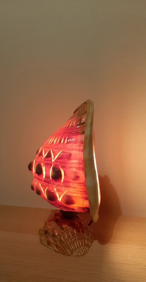 Cameo shell shade. Schelp tafellamp jaren 20/30