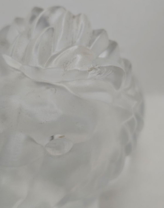 Lion Cristalin – Sculptures en verre, Crystal (photo 6 of 15)