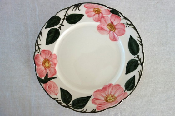 8 Villeroy & Boch „Wild Rose“ Speiseteller, 1970 – Geschirr, Ceramic (photo 4 of 8)