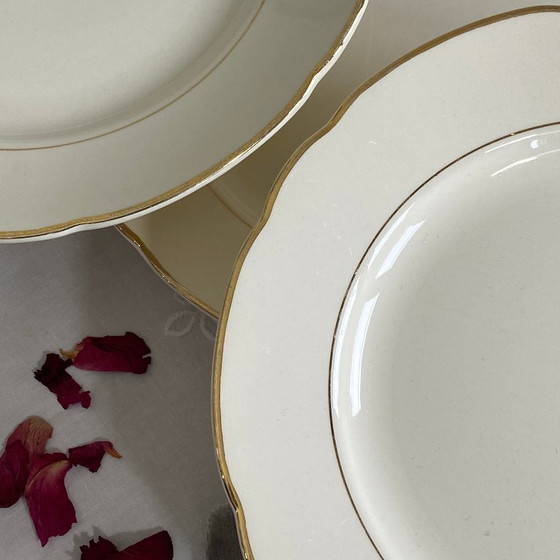 Image 1 of 6 platos llanos antiguos de loza beige con ribete dorado de Villeroy & Boch