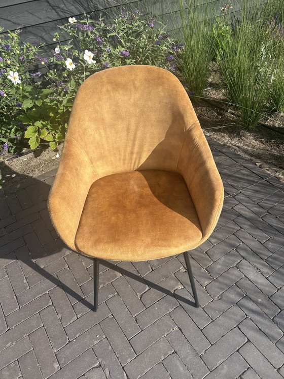 Image 1 of Eetkamerstoelen Montel type Lopez 6 stuks