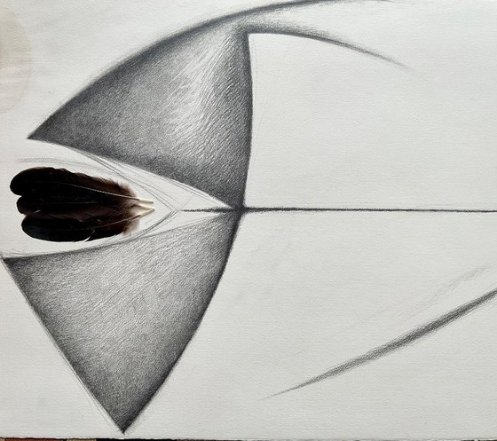 Image 1 of Collage, dessin avec des plumes