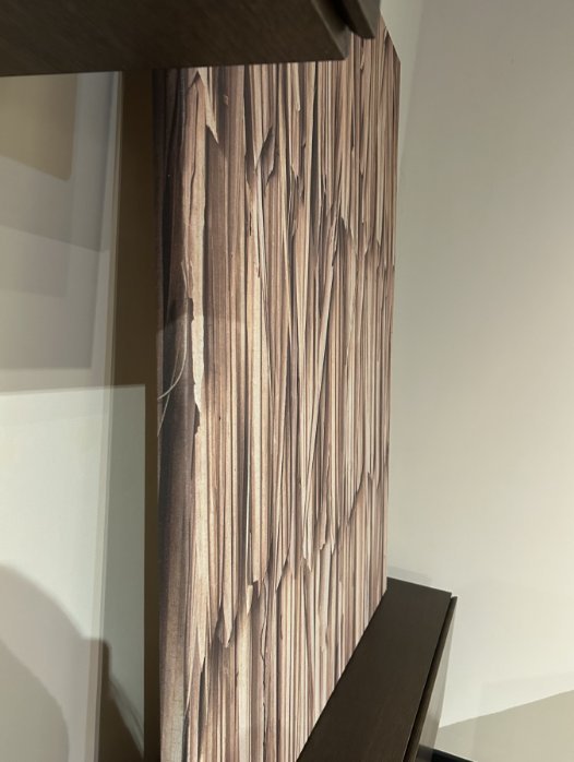 Image 1 of Boconcept - Layers of Leaves Kunstgalerie