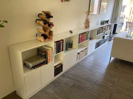 Bookcase (450cm long!)