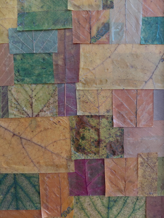 Image 1 of "Caught Between Pages" Gallery Suncorner