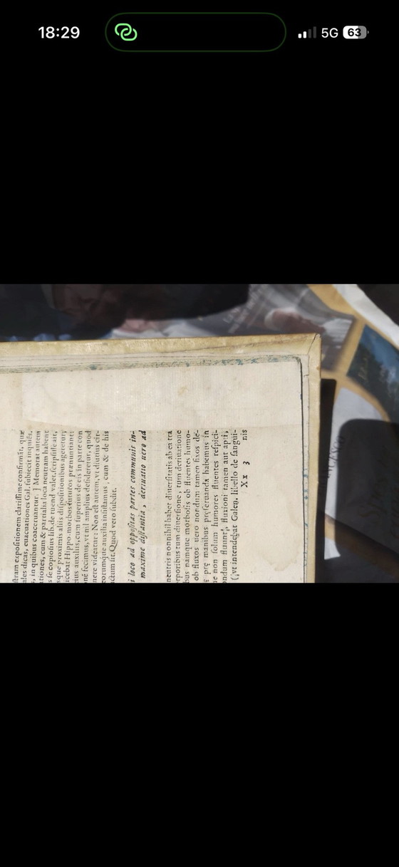 Oddo degli Oddi, Raro libro di medicina del 1574, Stampe artistiche, Carta, Bianco (foto 6 di 11)