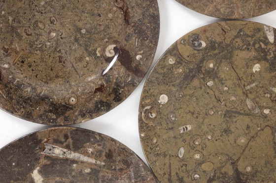 Image 1 of Set aus 7 Marmortellern mit Fossilieneinschlüssen. 20. Jahrhundert.