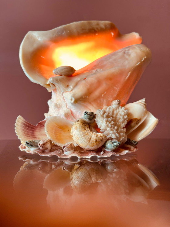 Image 1 of Vintage '70s shell lamp
