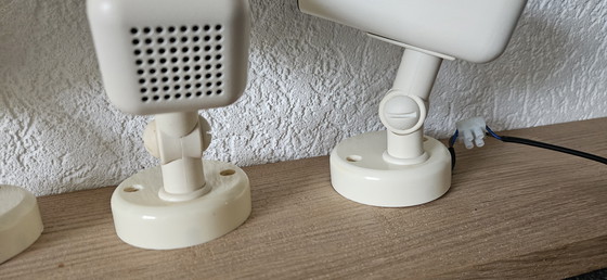 Image 1 of Herda fleckt 3 Stück