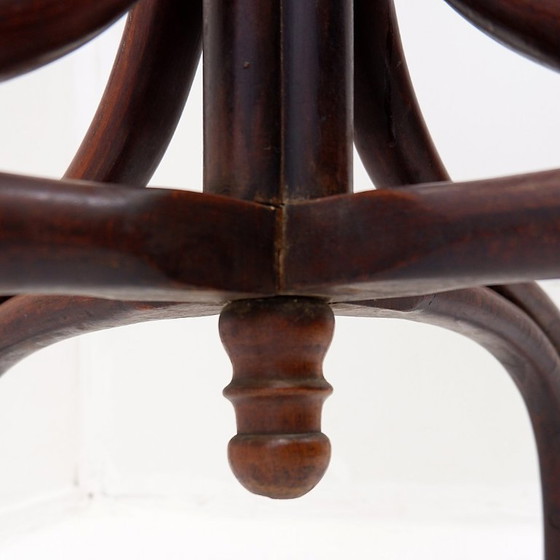 Image 1 of Grote kapstok van gebogen hout in de stijl van een papegaai, in de Thonet-uitvoering – begin 20e eeuw