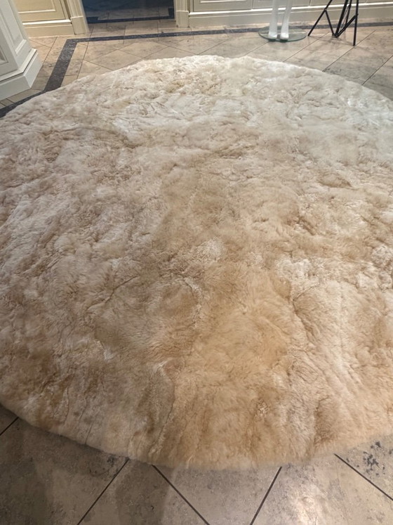 Image 1 of Alpaka Teppich Edwin rund 250 cm Champagner neuwertig Weich Couture   