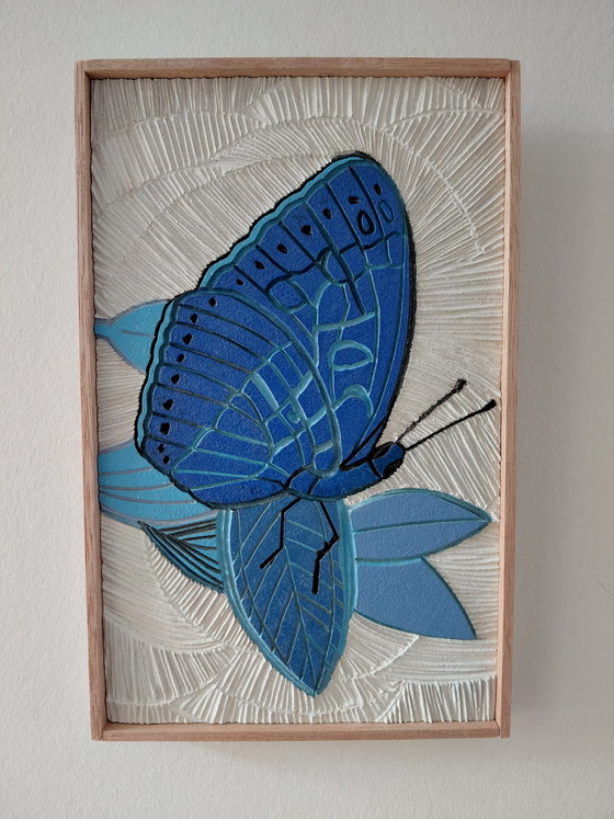 Image 1 of Galería "Alas Azules Luz Blanca" Suncorner