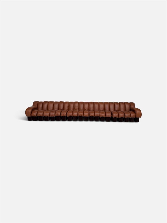 De Sede Ds600 Snake en cuir Cognac, 20 éléments, Canapés modulables, Textile, Marron (photo 7 sur 15)