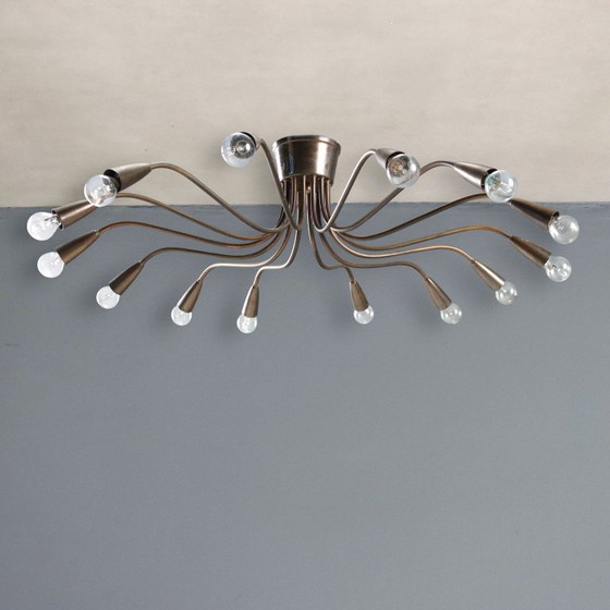 Image 1 of Lampadario a 14 luci anni 50