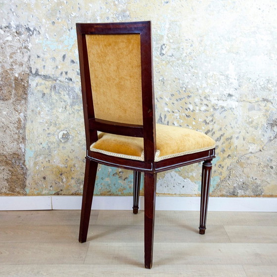 Image 1 of Set di sedie laterali in stile Luigi XVI spagnolo, anni &#39;40