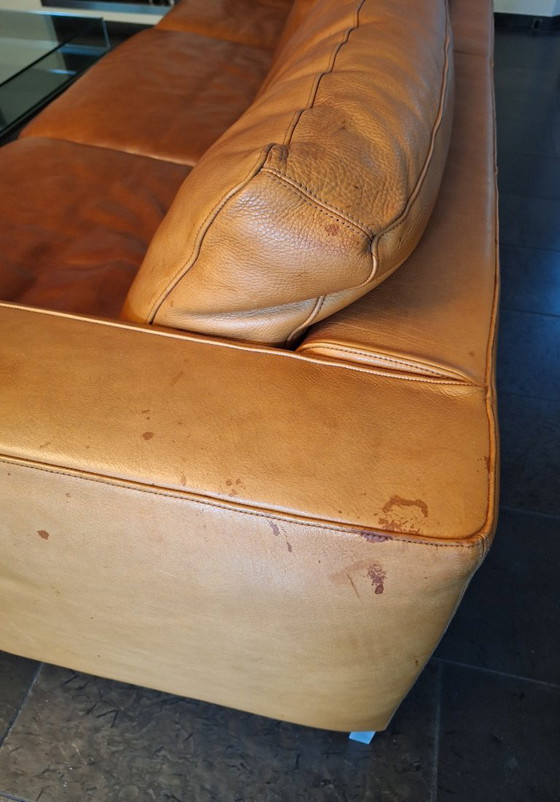 Image 1 of Classic Molinari leather sofa