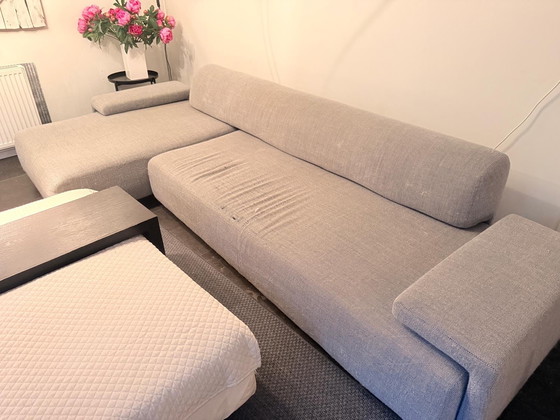 Image 1 of Moroso Lowland Bank