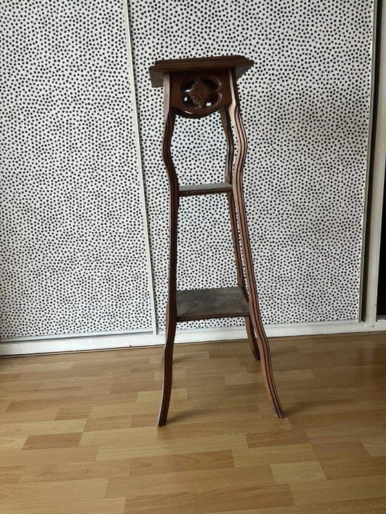 Image 1 of Mesa de plantas de la escuela de Ámsterdam