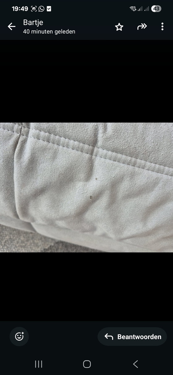 Image 1 of Ligne Roset Togo Alcantara light gray (purchase invoice available)