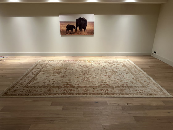 Image 1 of Originaler handgeknüpfter Ziegler-Teppich – 415 x 300 cm