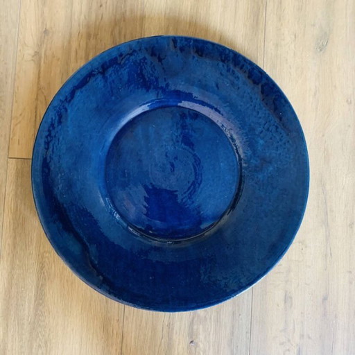 Large blue biot dish