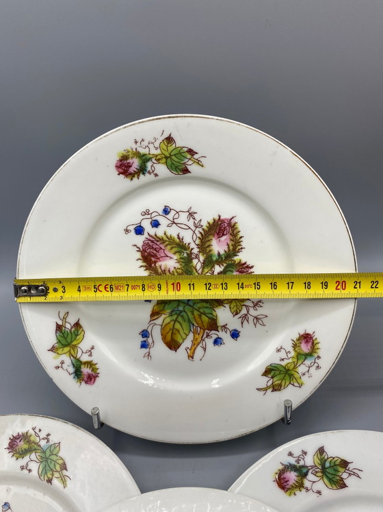 4 piatti da dessert antichi in porcellana, decorati con cardi e campanule, Francia – Oggetti decorativi (photo 4 of 4)