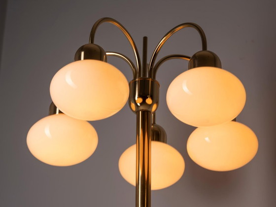 Lampada da terra vintage in ottone con cinque paralumi in vetro opalino, metà del XX secolo, Cecoslovacchia, (photo 7 of 8)