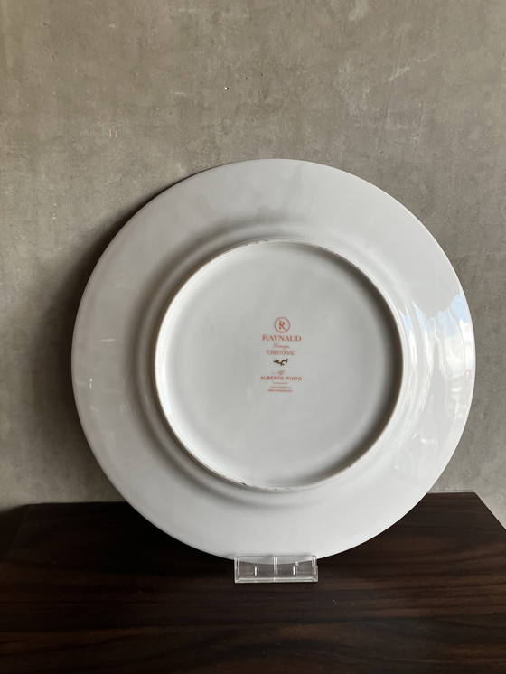 Image 1 of Raynaud's Plate, Pinto