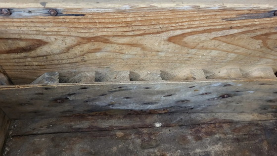 Baule contenitore – Armadi contenitori, Wood, Industrieel (photo 7 of 12)