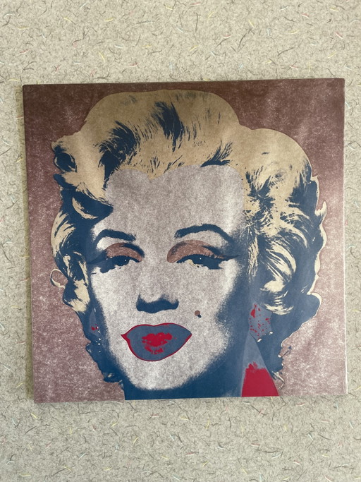 Conjunto de láminas de arte pop de Andy Warhol y Marilyn Monroe
