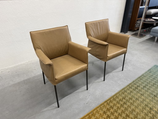 2 Design on Stock Gola Dining Chairs Loxton Desert leather