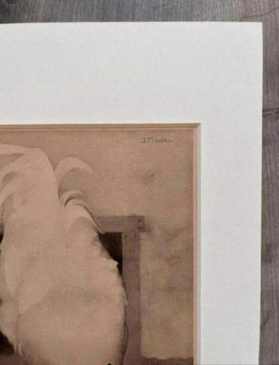 Image 1 of Jan Mankes 1889-1920 / Heliogravure originale Wyandotte Haan 1923