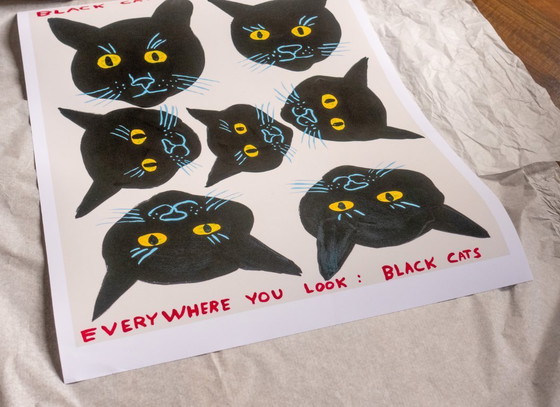Image 1 of Schwarze Katzen überall – David Shrigley – Poster 50 × 70 cm