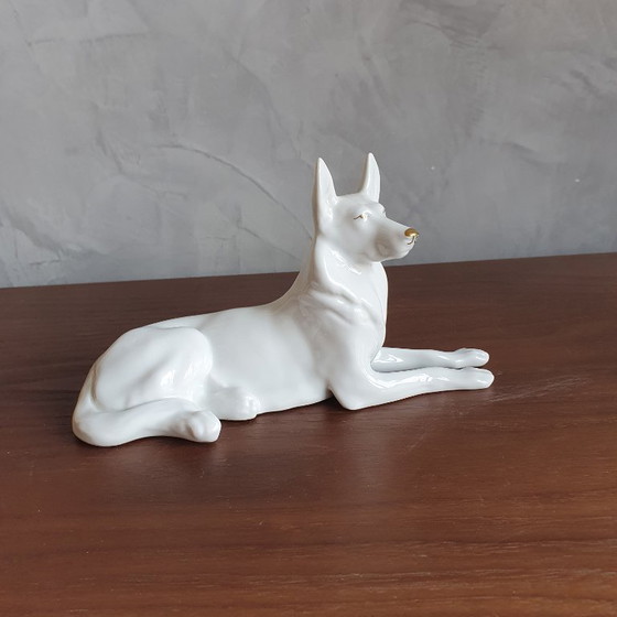 Image 1 of Cane da pastore in porcellana vintage di Hollohaza dall'Ungheria, anni '60