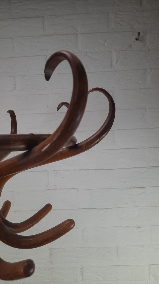 Image 1 of Appendiabiti da terra Thonet