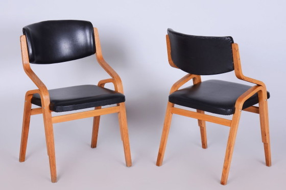 Set of Eight Restored Mid-Century Chairs, by Ludvik Volak, Maple, Czech, 1960s – Dining chairs, Wood, Skai (photo 19 of 20)