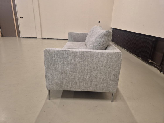 Image 1 of 50% SHOWROOM OUTLET Montis Daley - 3-seater Sofa - Grey - SALE