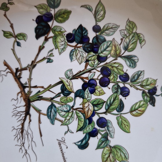 Image 1 of Villeroy & Boch Botanica series cake molds