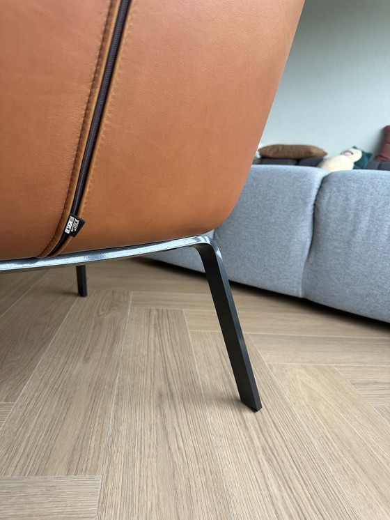 Image 1 of Ottime condizioni Design on Stock Poltrona Komio - Pelle cognac - NP: €1.829